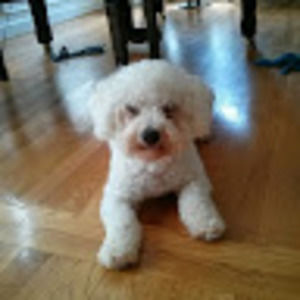 Meet your Posher, Natalie